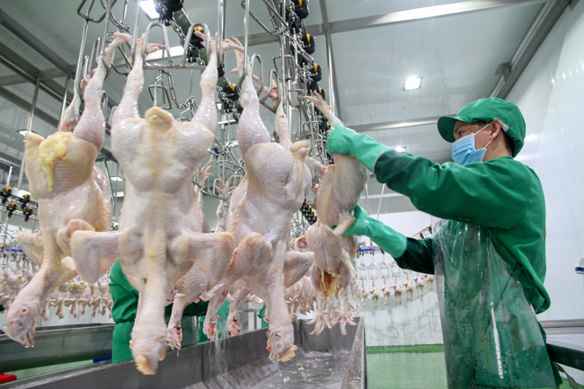 Nâng cao năng suất chế biến