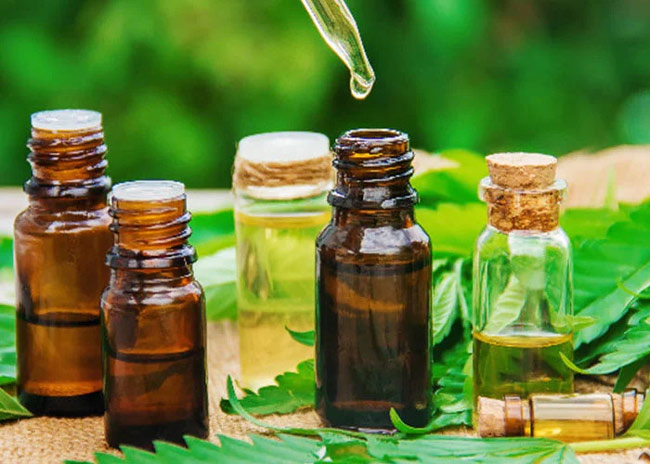 Chưng cất tinh dầu thảo dược