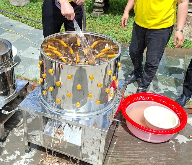 Xả nước trong suốt quá trình máy vặt lông