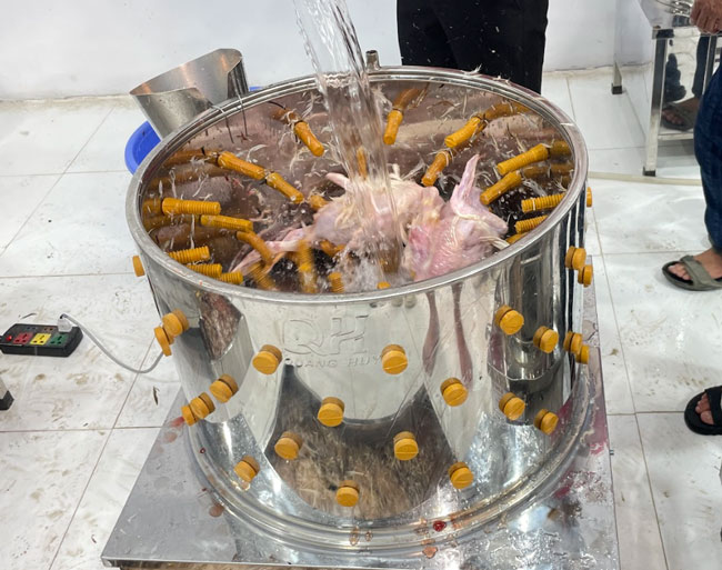 Ảnh sử dụng thực tế