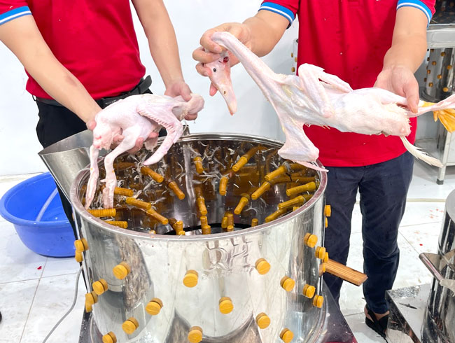 Lấy thành phẩm ra khỏi máy vặt lông