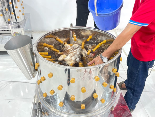 Ảnh sử dụng thực tế