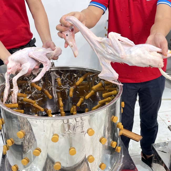 Thực tế khả năng vặt sạch l&ocirc;ng của m&aacute;y