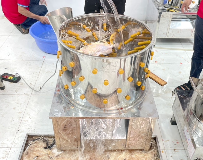 Ảnh sử dụng sản phẩm thực tế