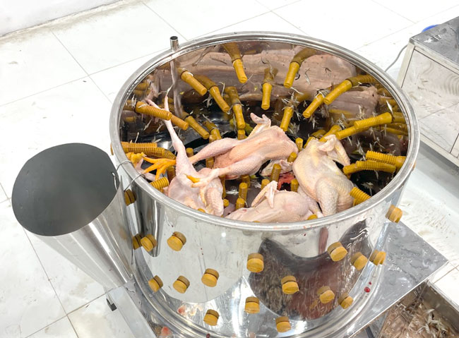 Máy vặt lông gà vịt số lượng lớn