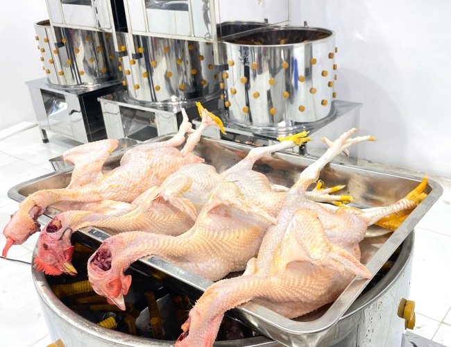 Th&agrave;nh phẩm đẹp mắt 