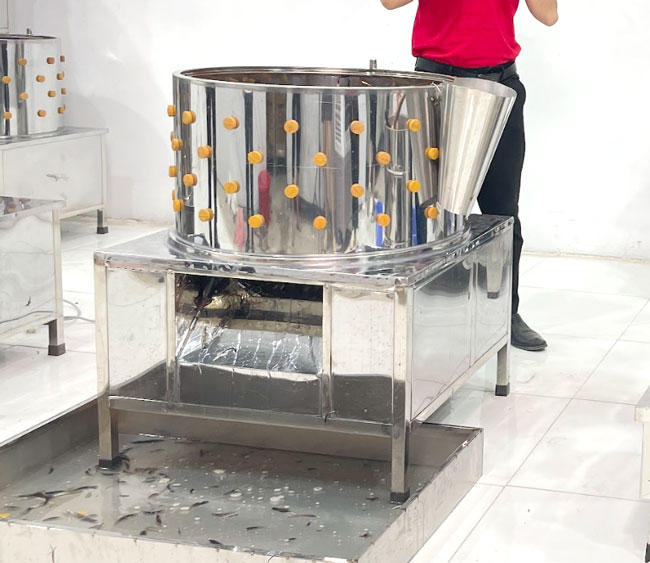 Kiểm tra m&aacute;y vặt l&ocirc;ng trước khi sử dụng