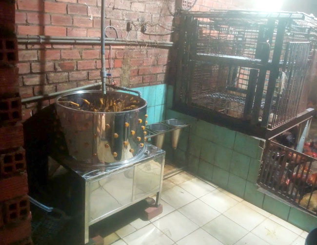 Chọn vị tr&iacute; bảo quản m&aacute;y vặt l&ocirc;ng g&agrave;