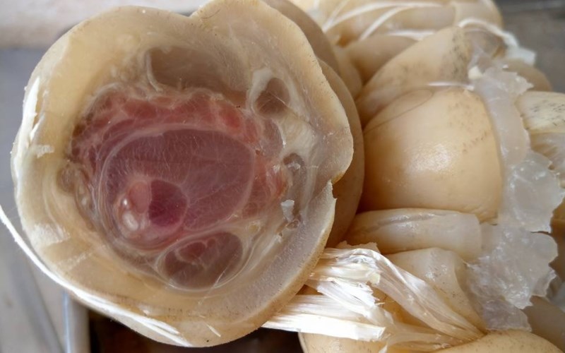 Chọn gân bò đúng cách