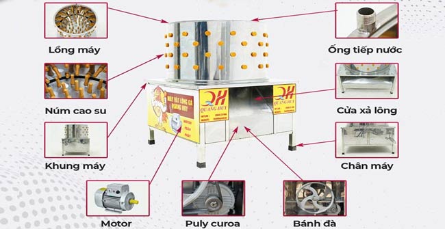 cấu tạo máy vặt lông gà