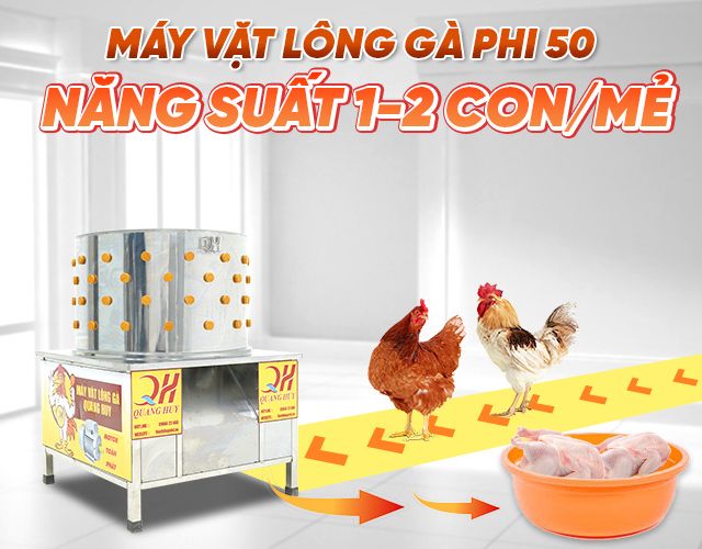 Máy làm lông gà phi 50