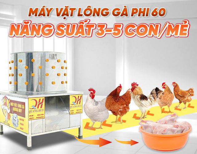 Máy làm lông gà phi 60