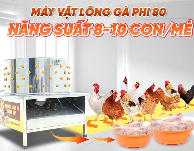 Máy vặt lông phi 80