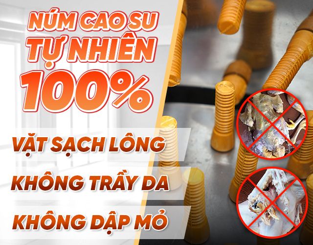 Núm cao su dẻo dai, an toàn