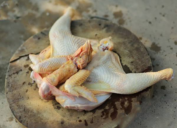 Những lưu ý quan trọng để gà vặt đẹp