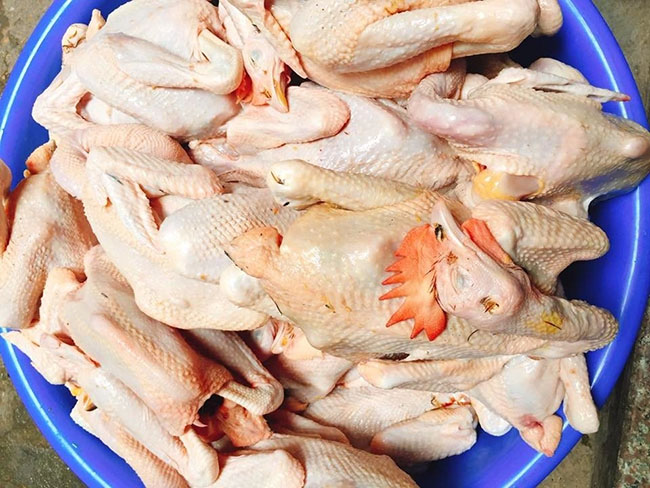 Vệ sinh dụng cụ làm gà