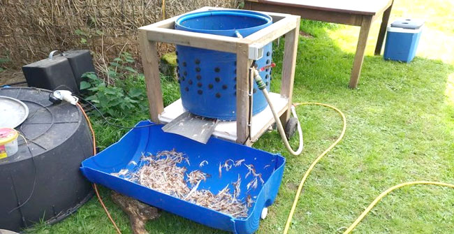 chế máy vặt lông gà vịt