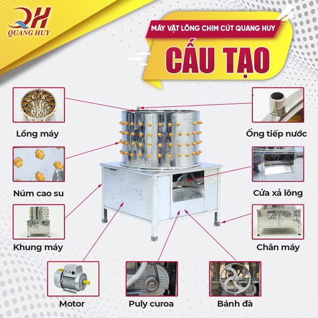 Cấu tạo máy vặt lông chim