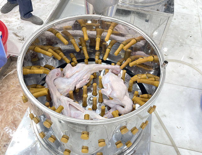 Cấu tạo sản phẩm