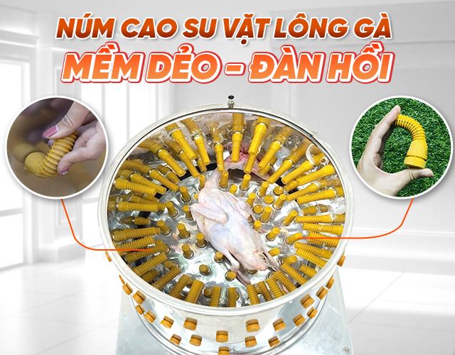 Núm cao su dẻo dai