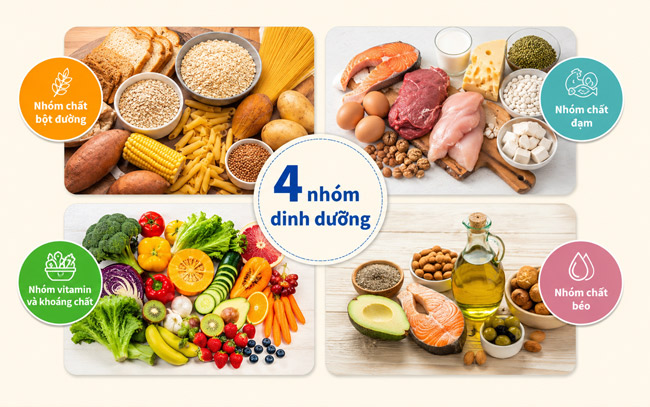 Đảm Bảo Đủ 4 Nhóm Dinh Dưỡng
