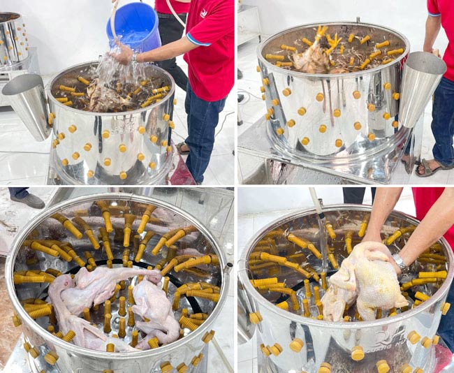 Lưu ý để sử dụng máy vặt lông gà vịt hiệu quả, bền lâu