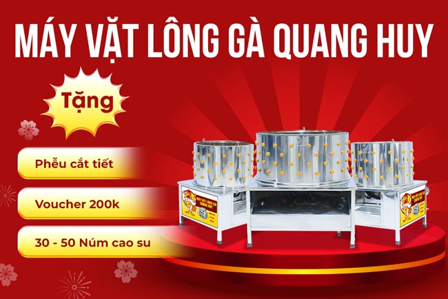 Máy vặt lông gà Quang Huy