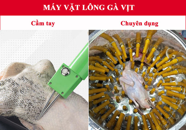 Sự khác nhau giữa máy vặt lông cầm tay và mini