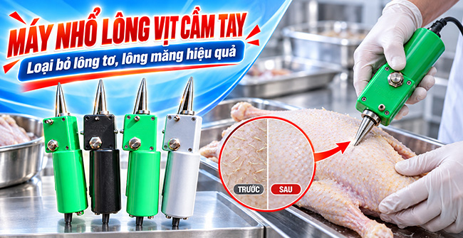 Quang Huy Plaza