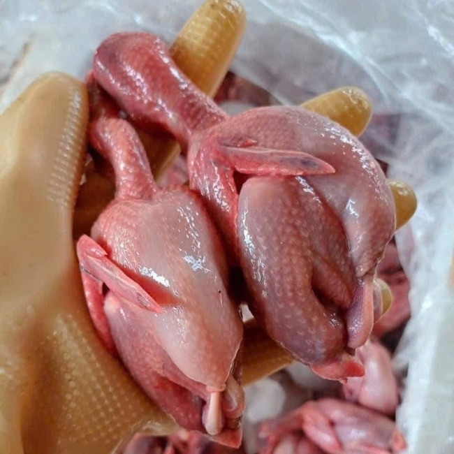 Thành phẩm máy vặt lông chim