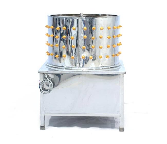Quy mô sử dụng máy vặt lông chim phi 55