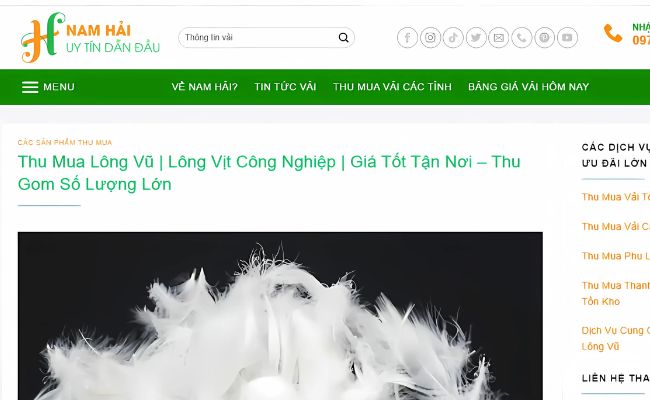 Website thu mua lông vũ