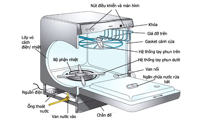 Cấu tạo bên trong