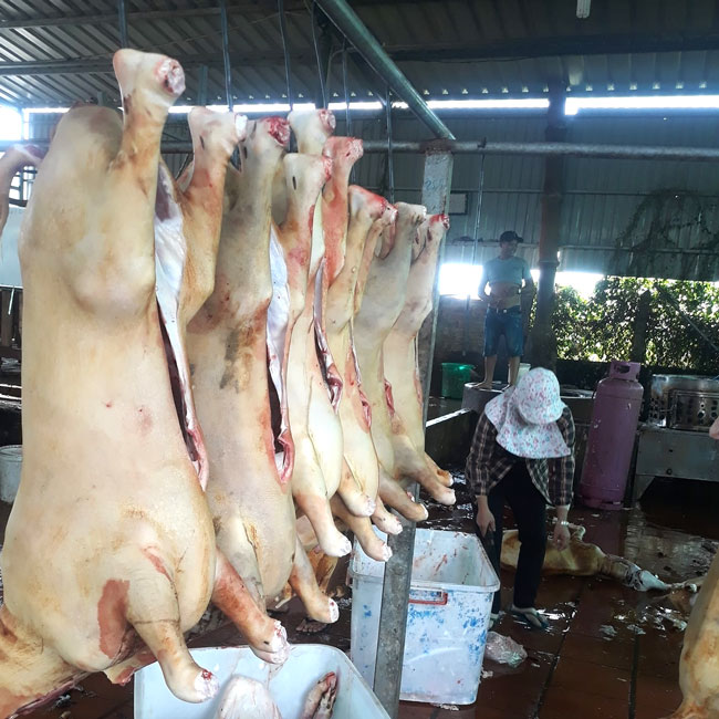 Cơ sở giết mổ tập trung