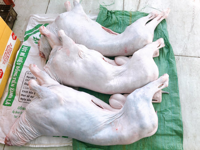 Thu thập dê thành phẩm sau vặt lông