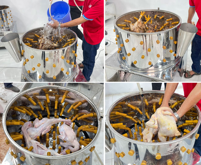 Tại sao nên mua máy vặt lông gà mới