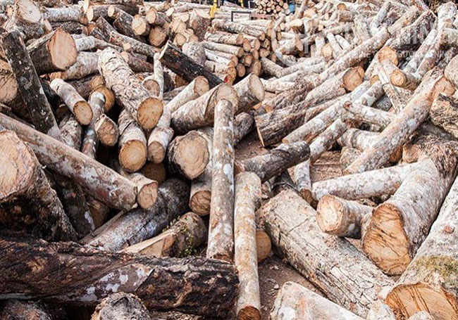 Chuẩn bị nhiên liệu đốt