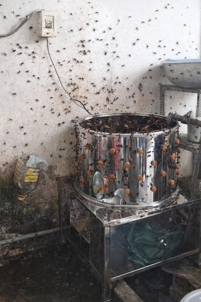 Máy vặt lông gà mất vệ sinh