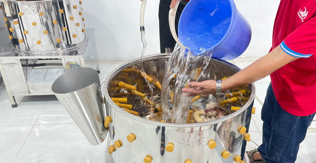 Hướng dẫn vệ sinh, bảo quản máy vặt lông gà sạch nhanh