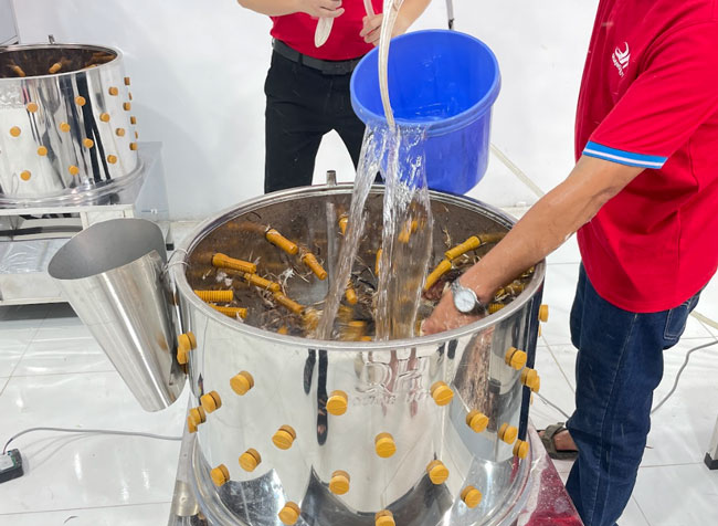 Vận hành máy vặt lông gà không tải