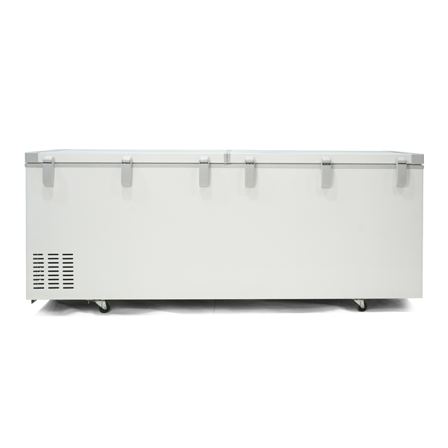 Tủ đông 2 cánh lật 720L dài 2m KW-CN2T