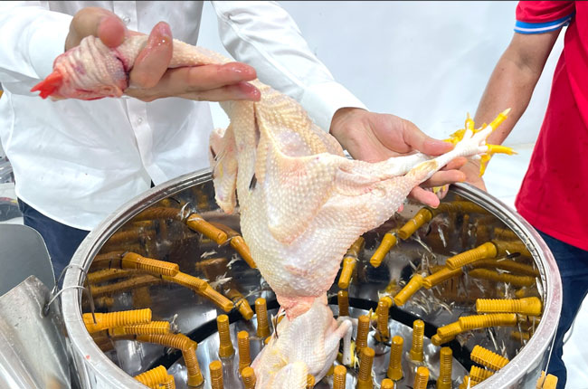 Lợi ích khi sử dụng máy vặt lông gà