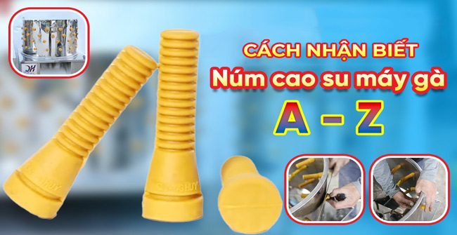 nhận biết núm cao su máy vặt lông gà chất lượng