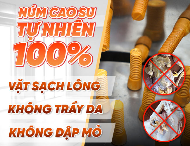 Chọn máy sử dụng núm cao su tự nhiên