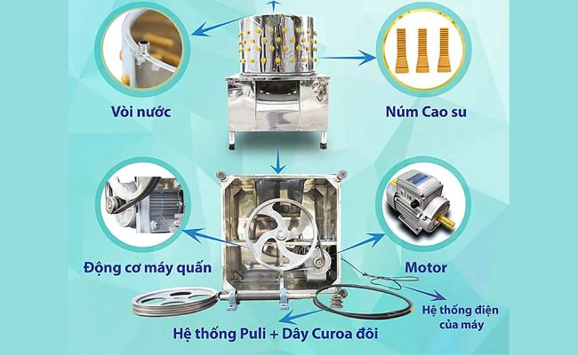 Cấu tạo máy vặt lông gà