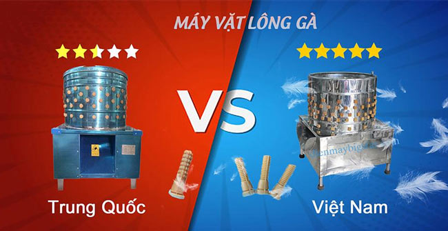 So sánh máy vặt lông gà Việt Nam và Trung Quốc