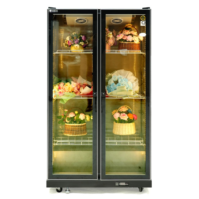Tủ mát trưng bày 2 cánh bảo quản hoa tươi