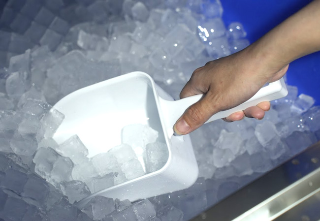 Thu hoạch đá viên