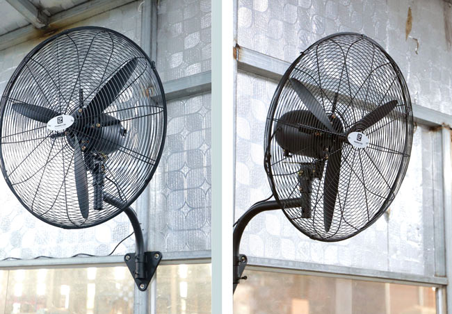 Quạt treo tường trong quán bún