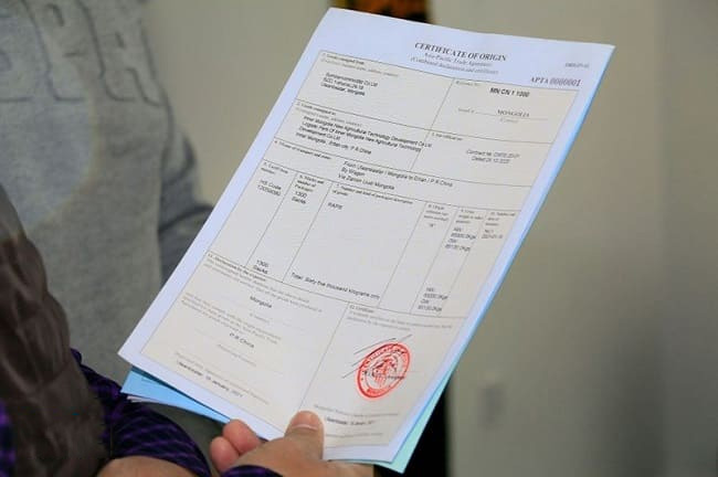 Giấy chứng nhận đi kèm máy đá viên